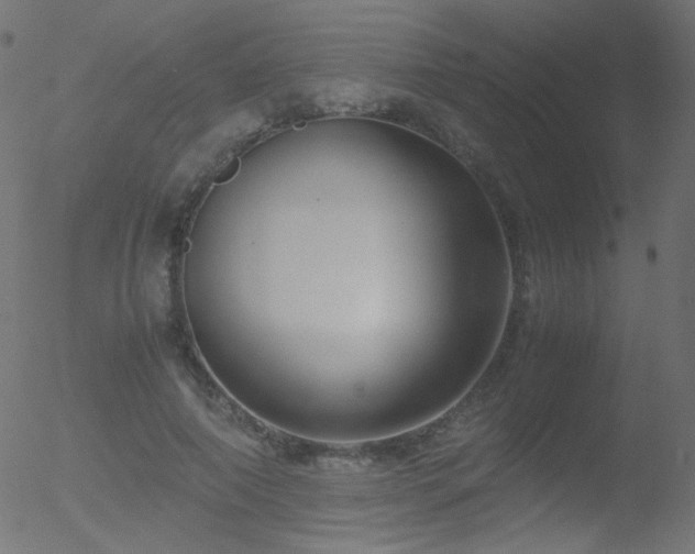 X0000052550690200507011131