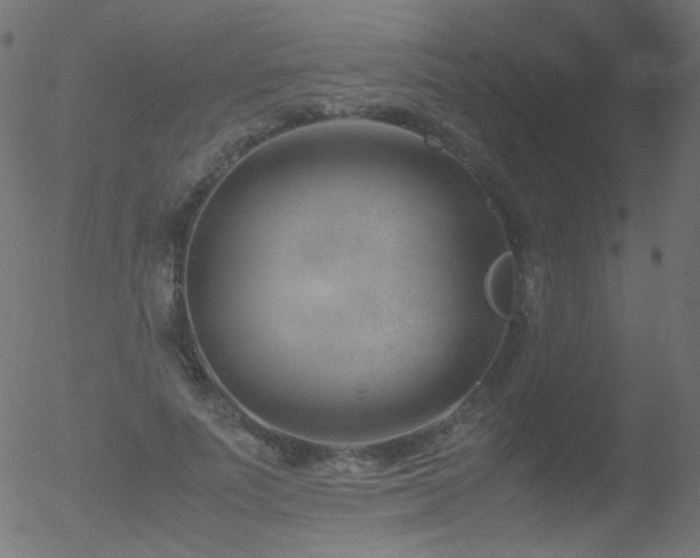 X0000052550691200507011131