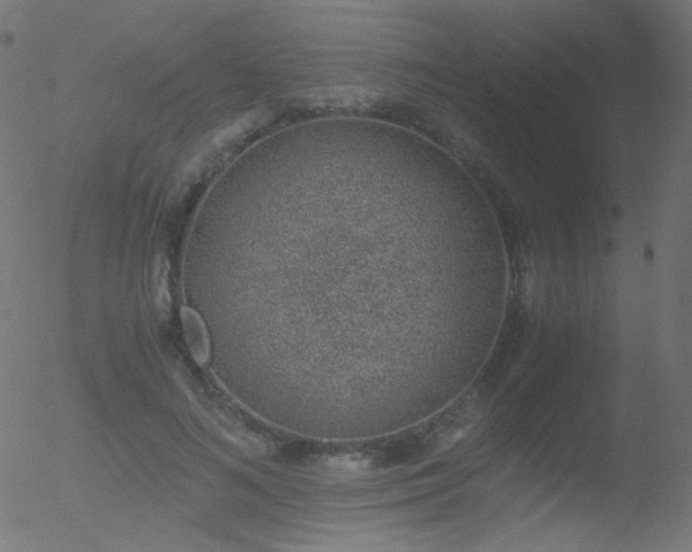 X0000052550692200507011131