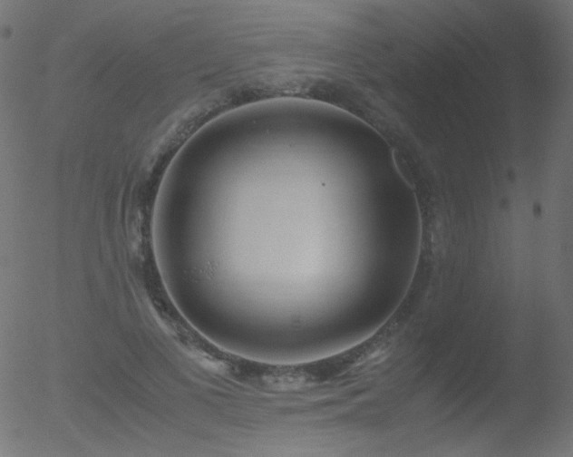 X0000052550693200507011131