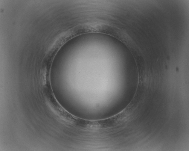 X0000052550694200507011131