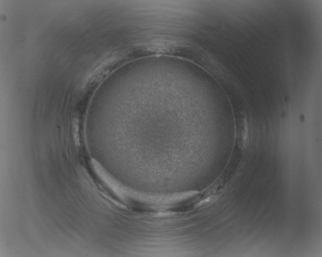 X0000052550696200507011131