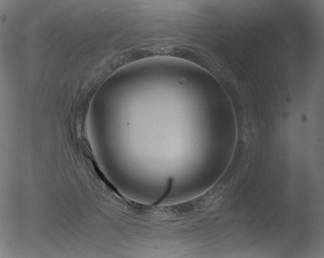 X0000052550697200507011131