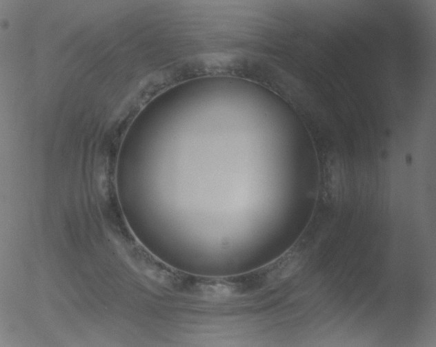 X0000052550698200507011131