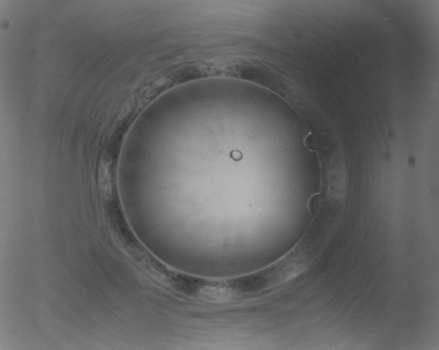 X0000052550699200507011131