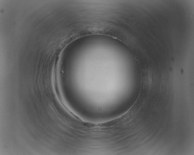 X0000052550700200507011131