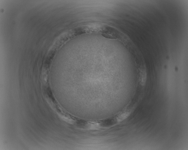 X0000052550701200507011130