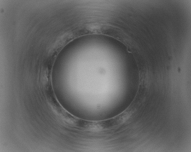 X0000052550702200507011130