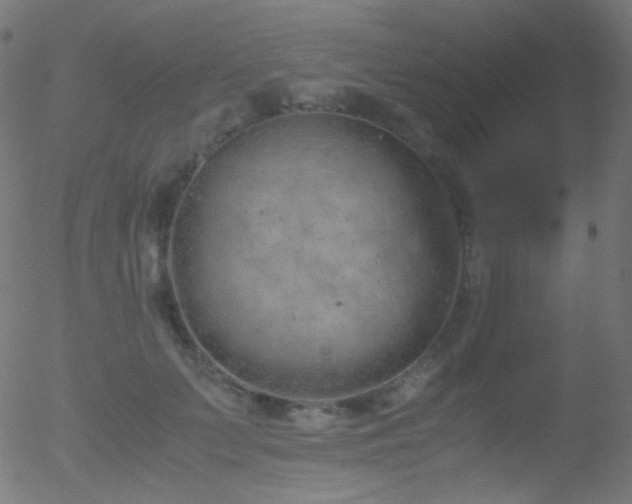 X0000052550703200507011130