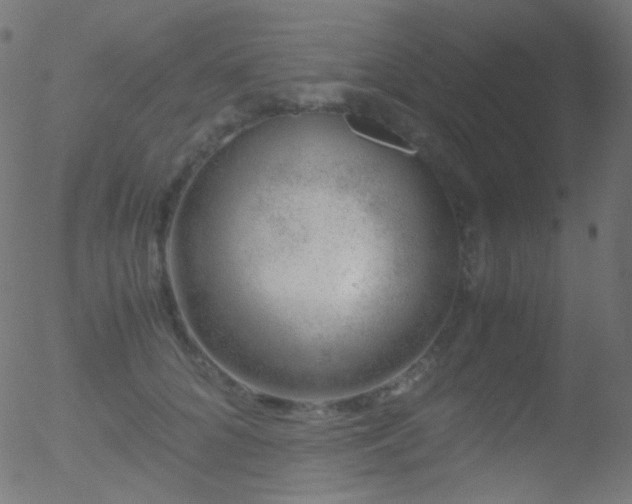 X0000052550704200507011130