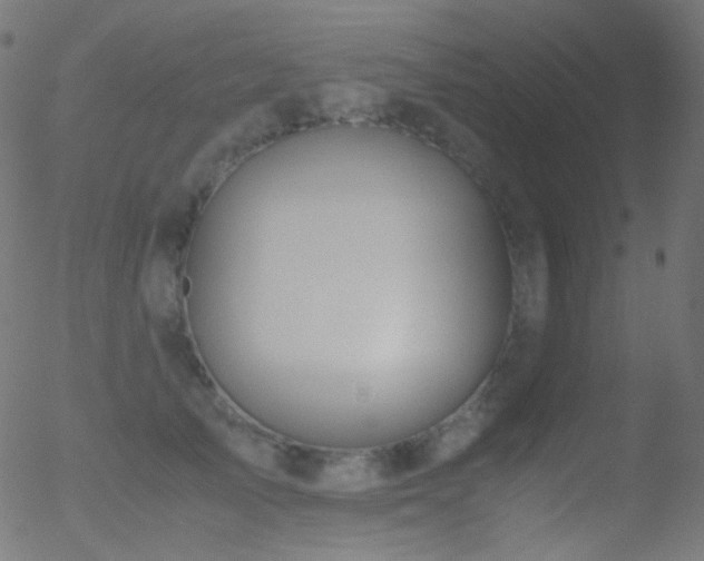 X0000052550705200507011130