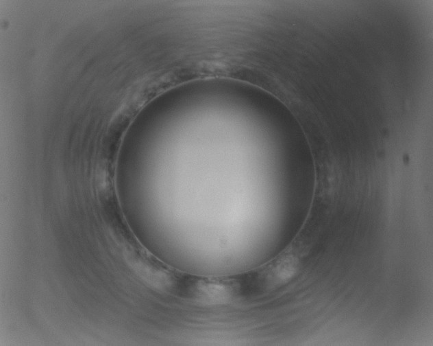 X0000052550706200507011130