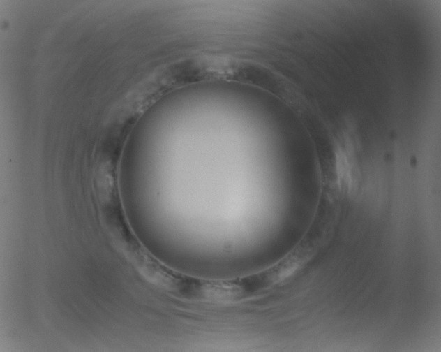 X0000052550707200507011130