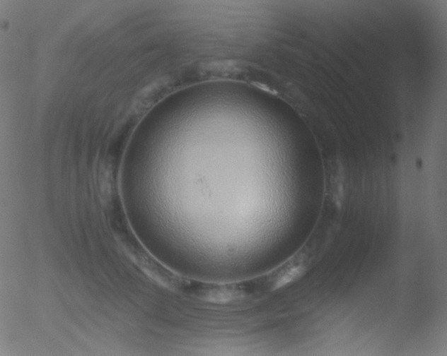 X0000052550708200507011130