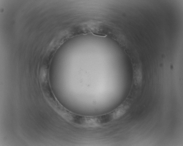 X0000052550709200507011130