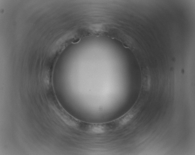 X0000052550710200507011130