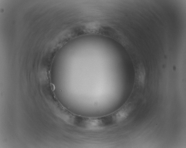 X0000052550711200507011130