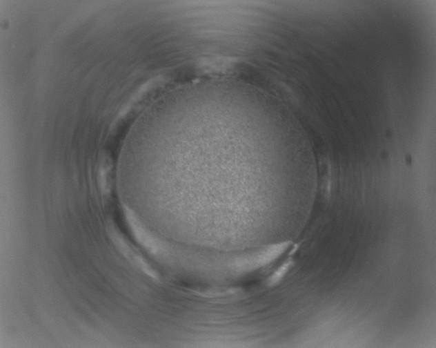 X0000052550712200507011130