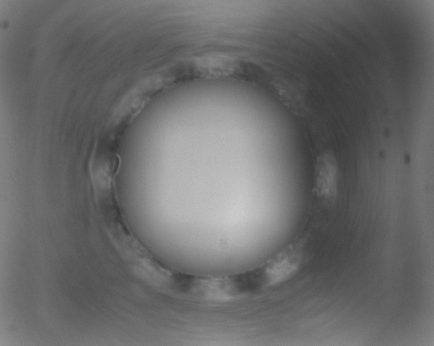 X0000052550713200507011130