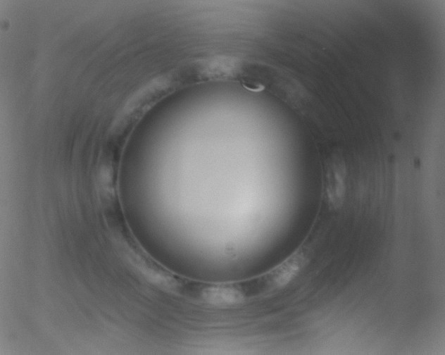 X0000052550714200507011130