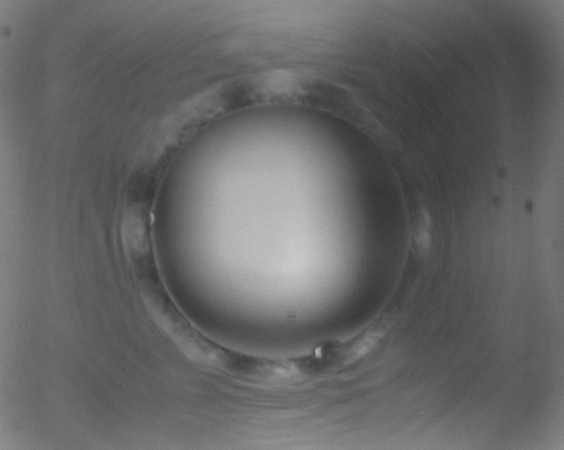 X0000052550715200507011130