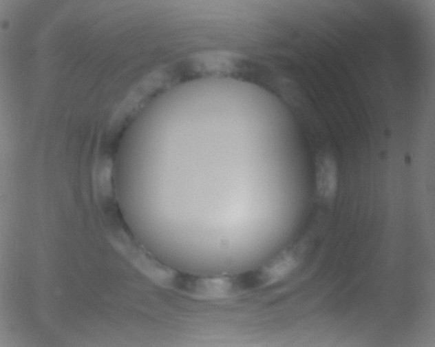 X0000052550717200507011130