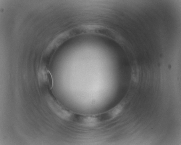 X0000052550718200507011130