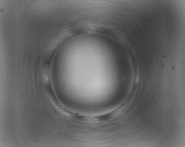 X0000052550719200507011130