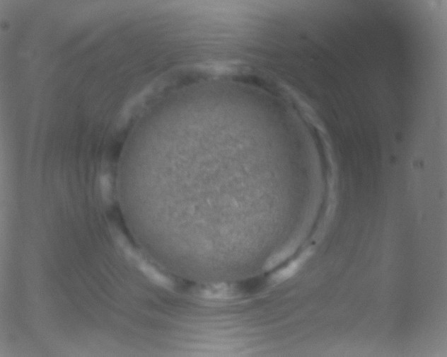 X0000052550720200507011130