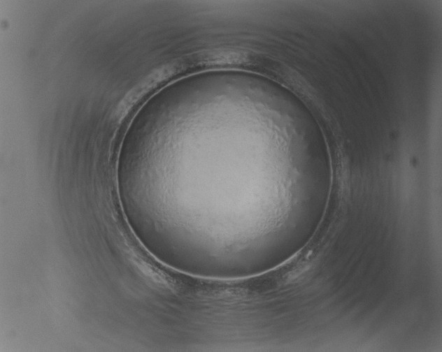 X0000052550721200507011129