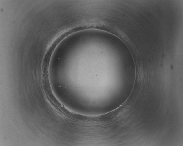 X0000052550722200507011129