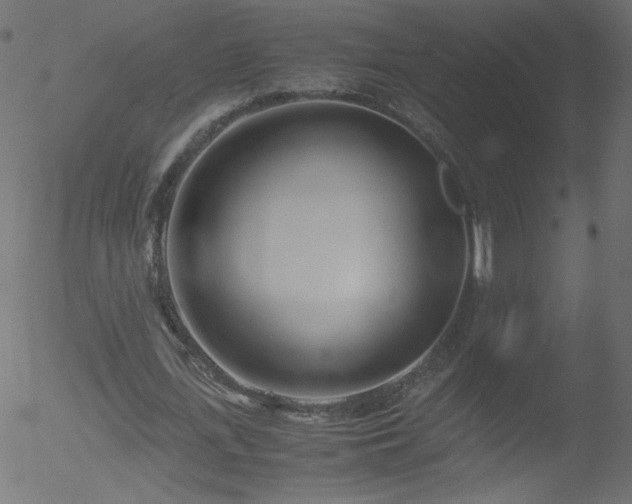 X0000052550723200507011129