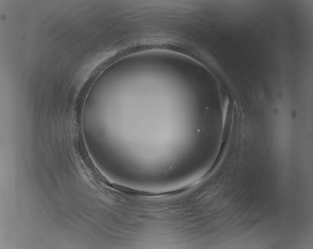 X0000052550724200507011129