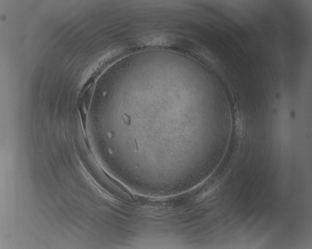 X0000052550725200507011129