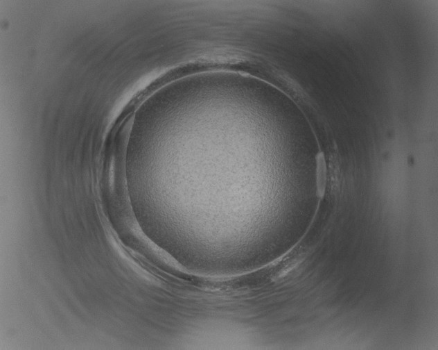 X0000052550726200507011129