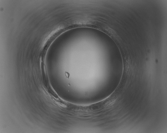 X0000052550727200507011129