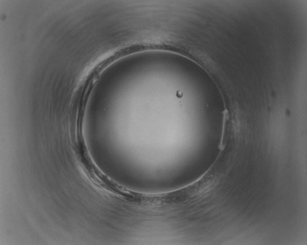 X0000052550728200507011130