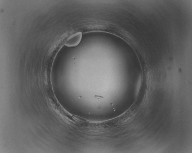 X0000052550729200507011130