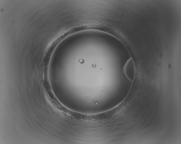 X0000052550730200507011130