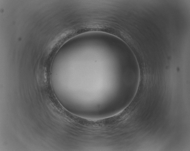 X0000052550731200507011130