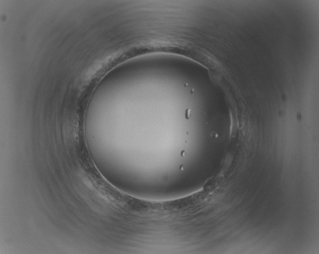 X0000052550732200507011130