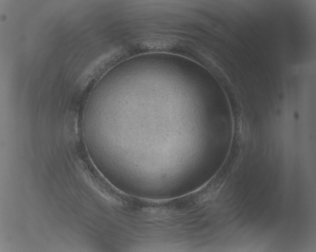 X0000052550733200507011130