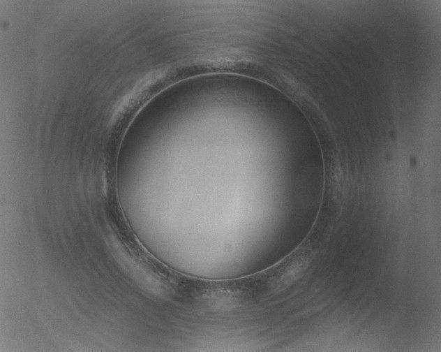 X0000052550734200507011130