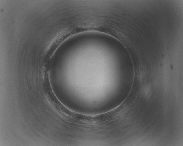 X0000052550735200507011130