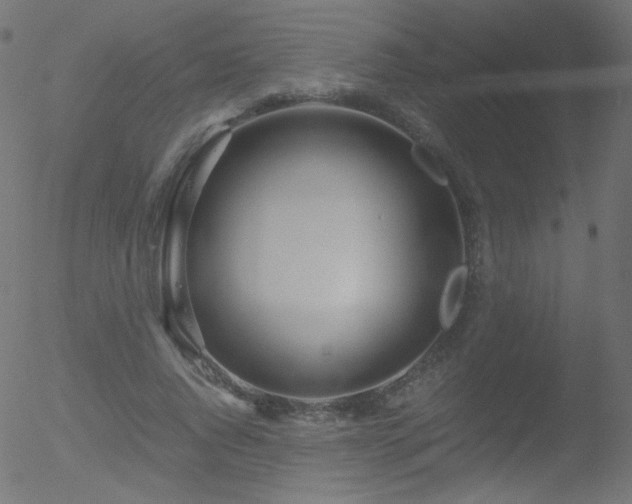 X0000052550736200507011130