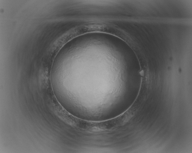 X0000052550737200507011130