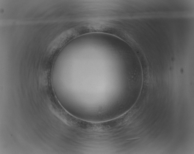 X0000052550738200507011130