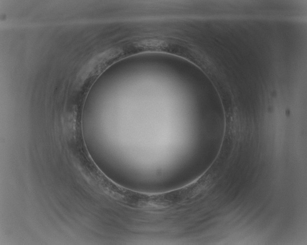 X0000052550739200507011130