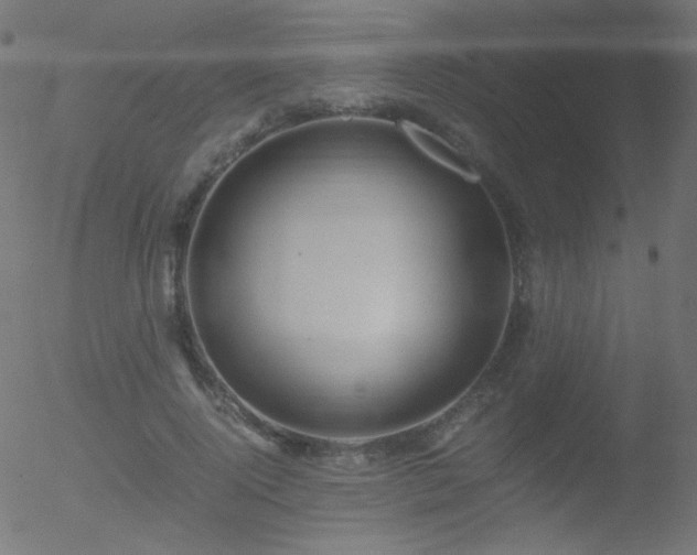 X0000052550740200507011130