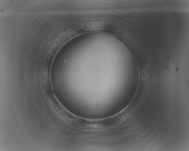 X0000052550741200507011130